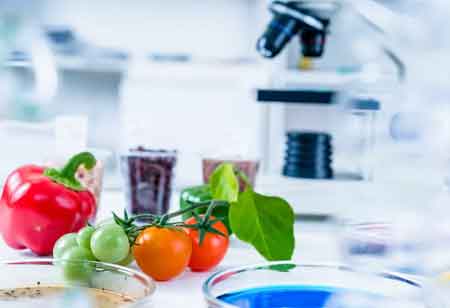 How to Store and Cook Frozen Food for Maximum Freshness